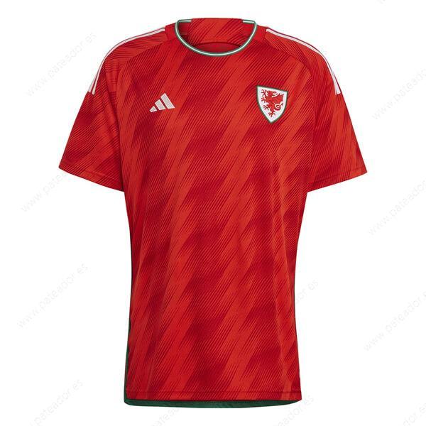 Camiseta de fútbol Gales 1ª Equipación 2022-Hombre